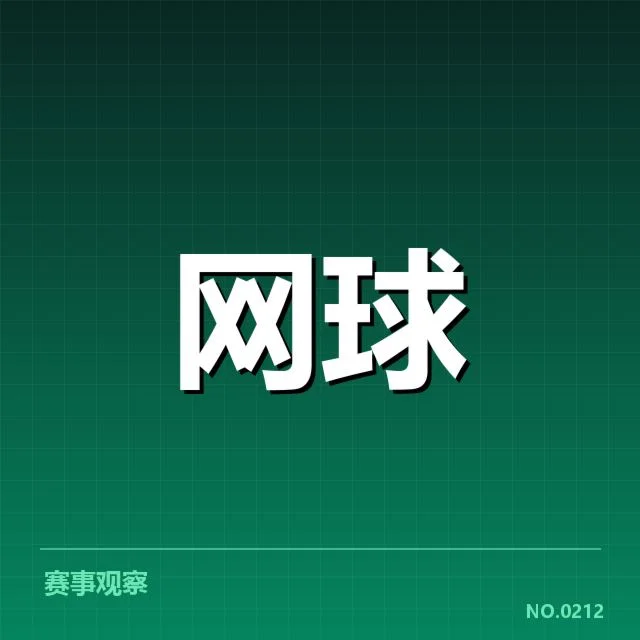 已确认的崛起明星及其成长轨迹